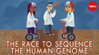 Cover: The Race to Sequence the Human Genome by TED-Ed